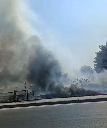 Eskişehir'de otluk alanda yangın