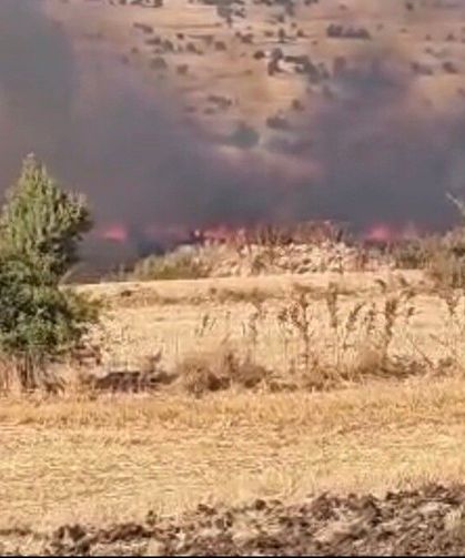 Seyitgazi'de tarım arazisinde yangın çıktı
