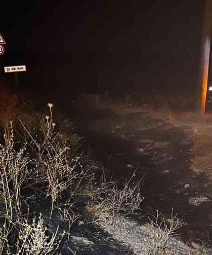 Sivrihisar'da elektrik tellerine çarpan kuş sonrası çıkan yangın söndürüldü