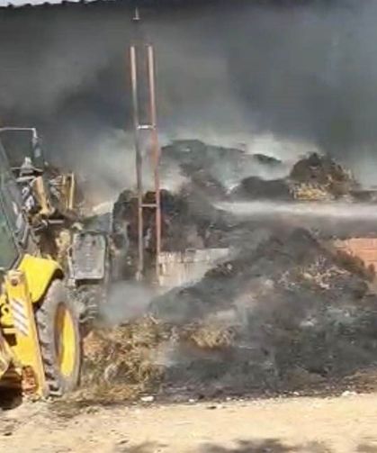 Eskişehir'de çiftlikte çıkan yangında 15 küçükbaş telef oldu