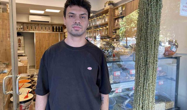 Kurutulmuş çiçek bamyanın altınla yarışan fiyatı düştü