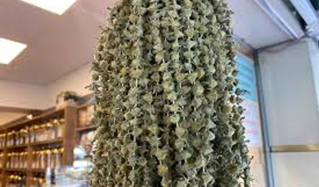 Kurutulmuş çiçek bamyanın altınla yarışan fiyatı düştü