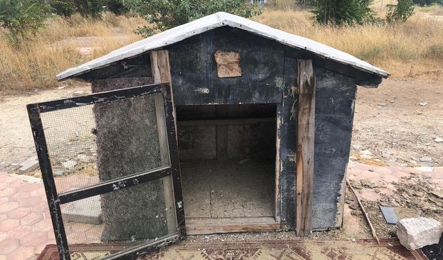 Cinayete kurban giden şahsın kuşları beslediği kafes boş kaldı