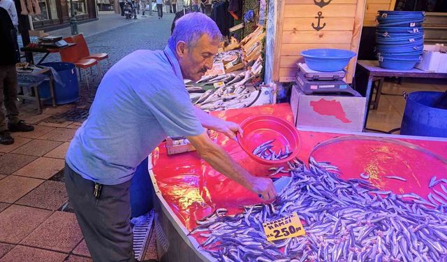 Yeni sezon Eskişehir balık pazarını canlandırdı