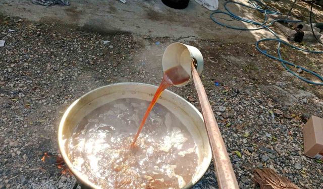 Geleneksel pekmez mesaisi başladı