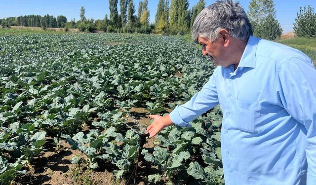 Çiftçilerin kullandığı kuyu suları 2 metreye kadar indi