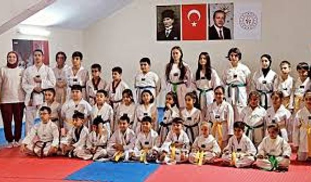 Eskişehir'de 40 taekwondo sporcusu kuşak atladı