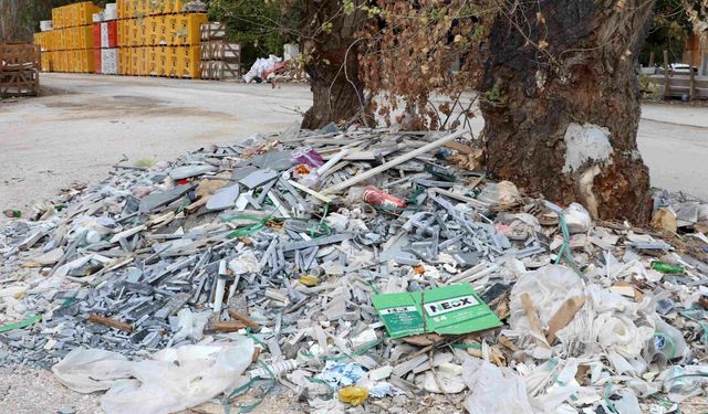 Baksan Sanayi Sitesi'nde ağacın çevresindeki moloz ve sanayi atıklarına tepki