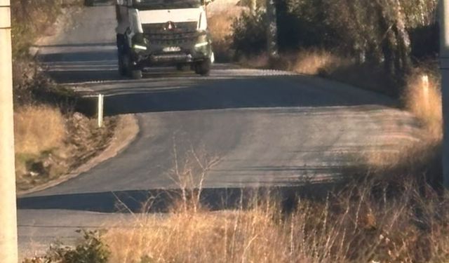 Tekören yolunda uzayan ağaç dalları sürücülere zorluk yaşatıyor