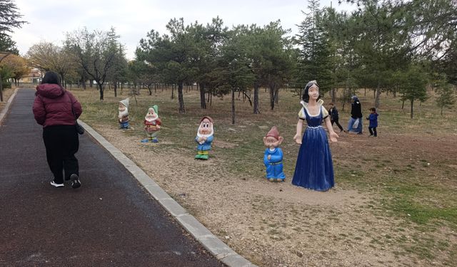 Bu da oldu: Pamuk Prensesin cücelerini çaldılar