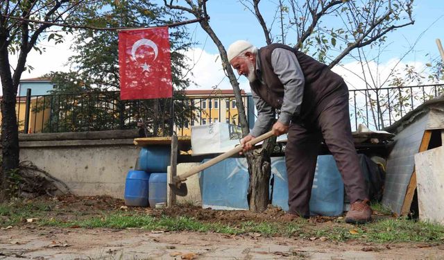 Çöplüğü 15 Temmuz Şehitleri Fidanlığı'na çevirdi