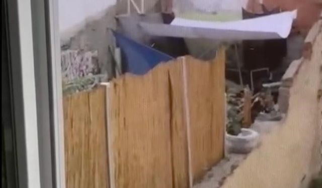 Eskişehir'de köpeğe eziyet eden şahıs yakalandı