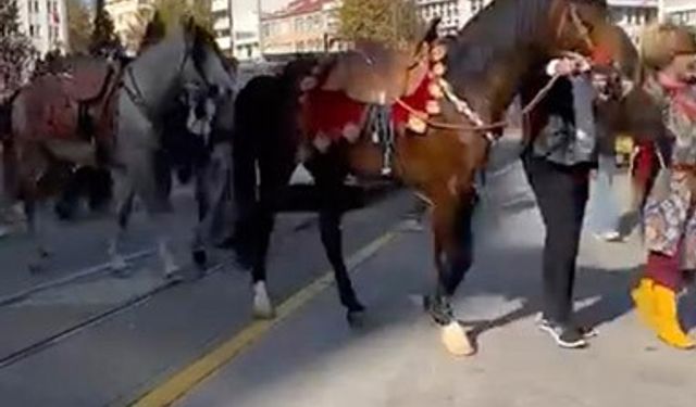 Şehir merkezinde gezdirilen atlar vatandaşları meraklandırdı