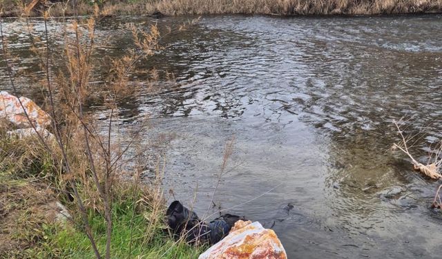 Ege Ekspresi'nin çarptığı yaya hayatını kaybetti