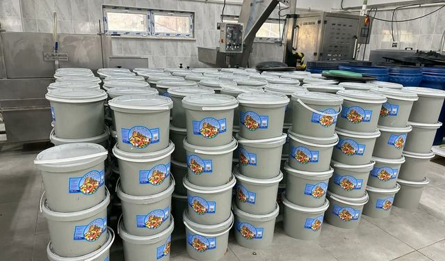 Mihalgazi' de  Yeni mahsul Turşu çeşitleri görücüye çıktı