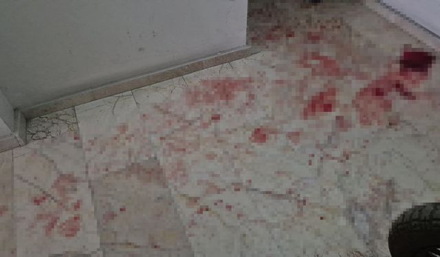 Kavga ettiği üvey babasını bıçakla ağır yaraladı