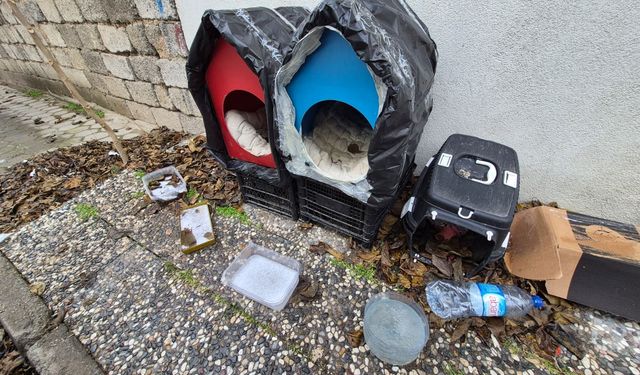 Vatandaşlardan sokak hayvanları için örnek davranış