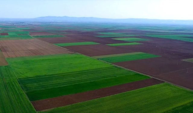 ALPU Ovası İçin Tarihi Bir Karar Daha