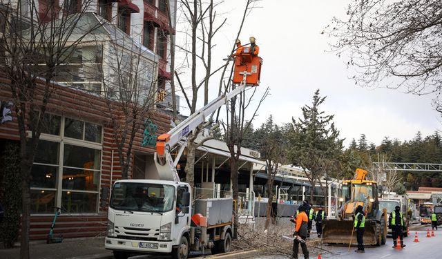 Büyükşehirden Kent  Merkezinde  Kış  Budaması