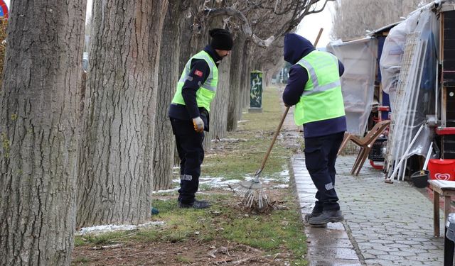 Ekolojik Ömrünü  Tamamlayan  Kavaklar Yerini Çınarlara Bırakıyor