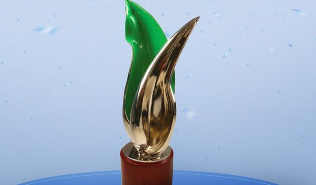 Enerjimiz Eşit projesi, Communitas Awards'tan ödülle döndü