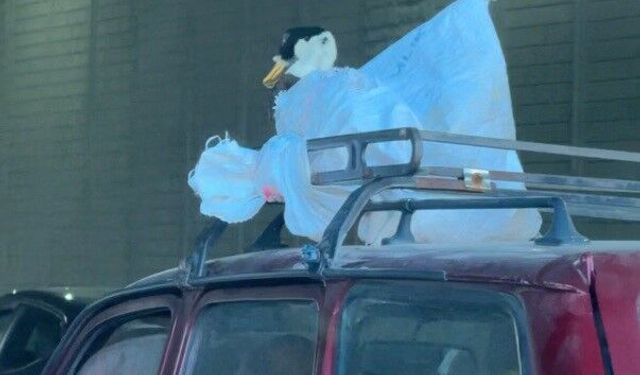 Aracın üzerindeki kazın ilginç yolculuğu kameraya yansıdı