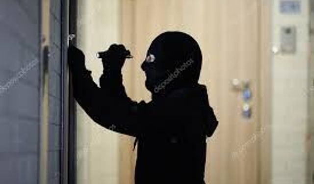 Hırsızlar Yakalandı