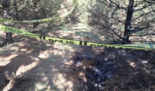 Boğulduktan sonra cesedi yakılan Deniz Oktay'ın davasına devam edildi