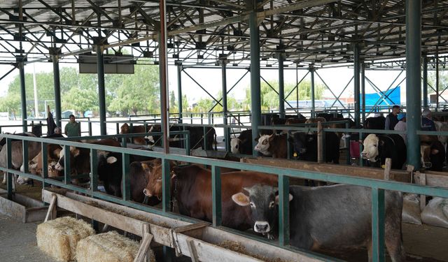 Eskişehir Büyükşehir Belediyesi   Kurban  Bağışı  Hisse Bedelini Açıkladı