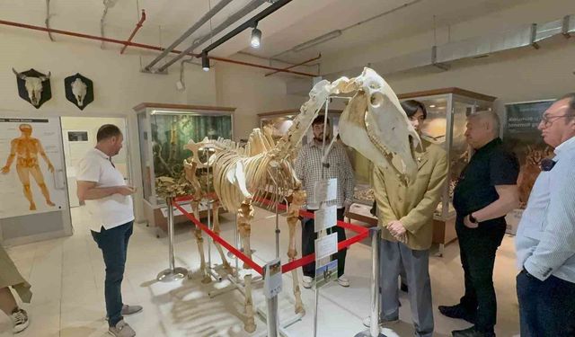 34 bin hayvanın sergilendiği Zooloji Müzesi açıldı