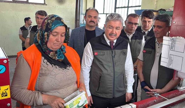 Eskişehir'den yangın bölgelerine gönderilen milyonlarca fidan 'nefes' olacak