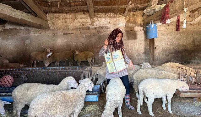 'Hayvanlara büyü yaptı' denilerek vahşice öldürülen adamın karısı tek başına çobanlık yaparak 2 oğlunu okutmaya çalışıyor