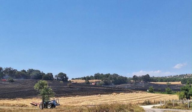 Bozüyük'teki yangında 80 dönüm tarım arazisi zarar gördü
