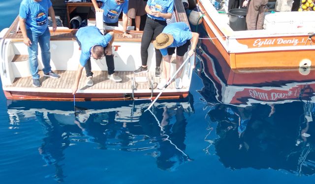 Eskişehir Hayvanat Bahçesi’nde Yetiştirilen 13 Mustelus Mustelus Yavrusu Doğaya Salındı