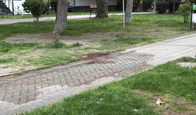 Alkol aldıkları sırada çıkan tartışmada arkadaşını bıçakla ağır yaralayan şüpheli yakalandı