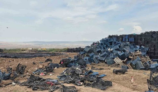 Eskişehir'de çıkan yangında binlerce plastik kasa yandı