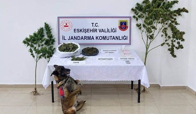 Eskişehir'de uyuşturucu operasyonu: 1 tutuklama
