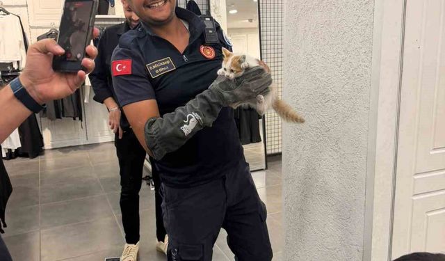 İtfaiye ekipleri duvarda mahsur kalan kedi ile parmaklıklara sıkışan köpeği kurtardı