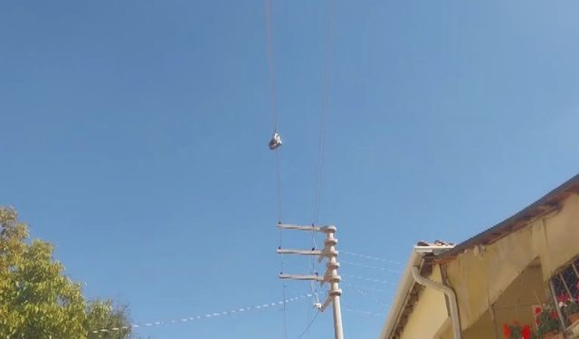 Yıllardır elektrik telinde duran bir çift botun sırrı çözülemiyor