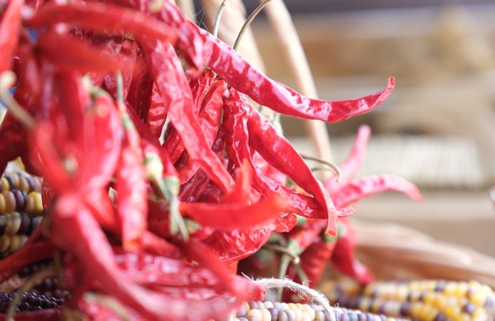 Büyükşehir Yerel Tohum Takas Günleri Başlıyor