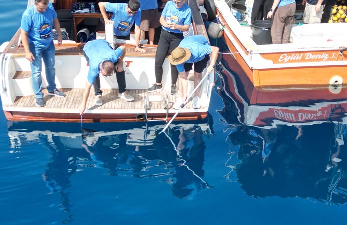 Eskişehir Hayvanat Bahçesi’nde Yetiştirilen 13 Mustelus Mustelus Yavrusu Doğaya Salındı