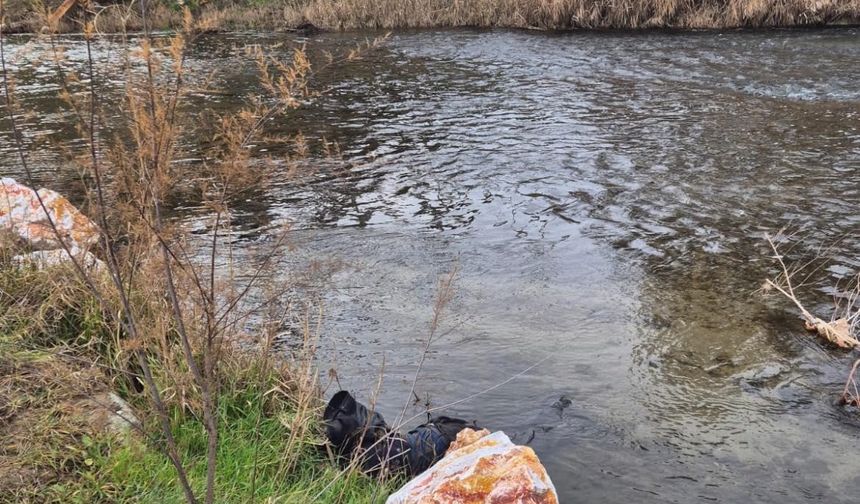 Ege Ekspresi'nin çarptığı yaya hayatını kaybetti