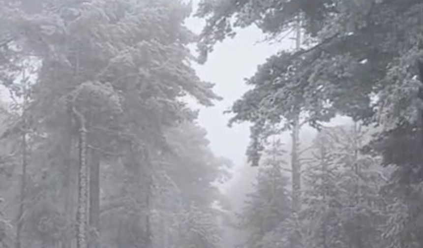 Eskişehir'e mevsimin ilk karı yağdı