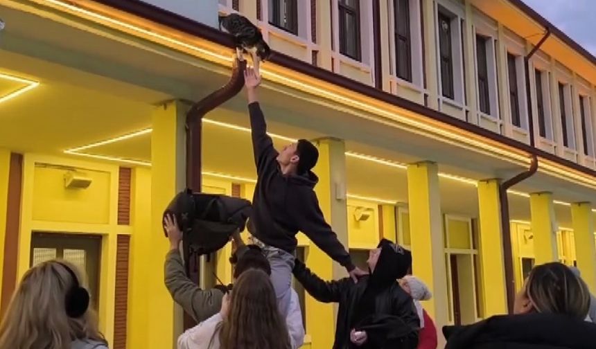 Gençlerin 'başarısız' kedi kurtarma operasyonu kamerada