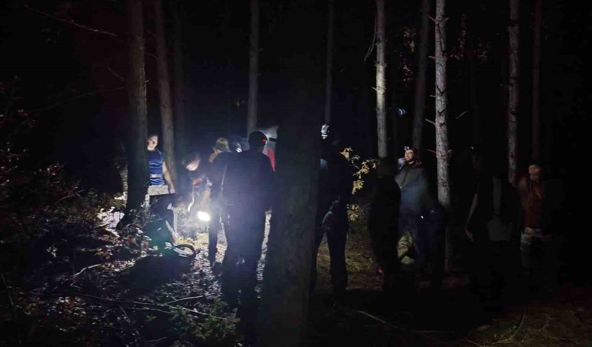 Uluslararası Dağ Günü'nde 25 kişilik grup ile 12 kilometrelik gece yürüyüşü