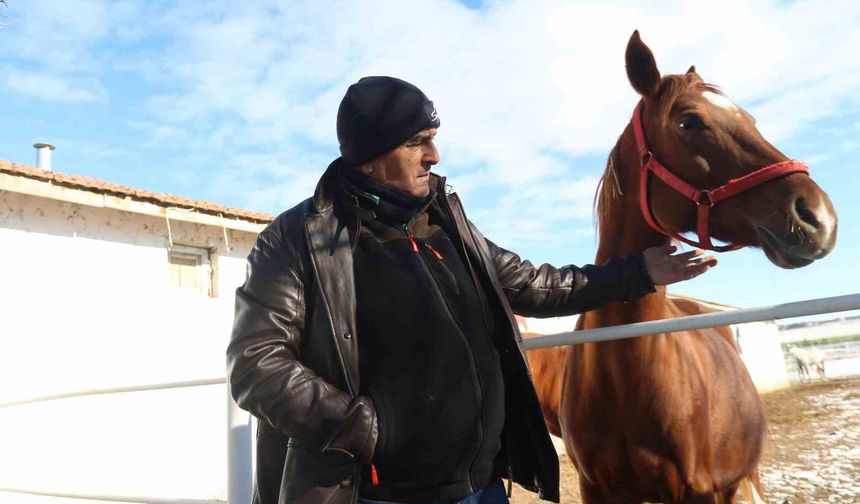 At yetiştiriciliğinin kış zorlukları