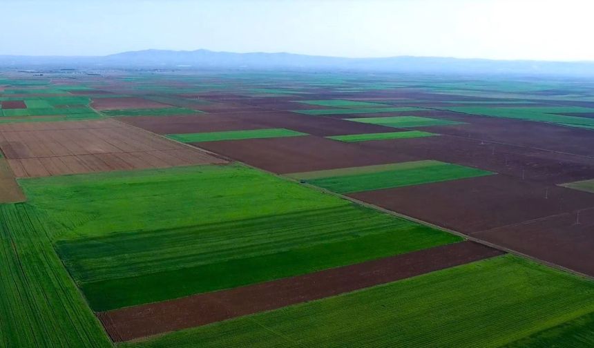 ALPU Ovası İçin Tarihi Bir Karar Daha