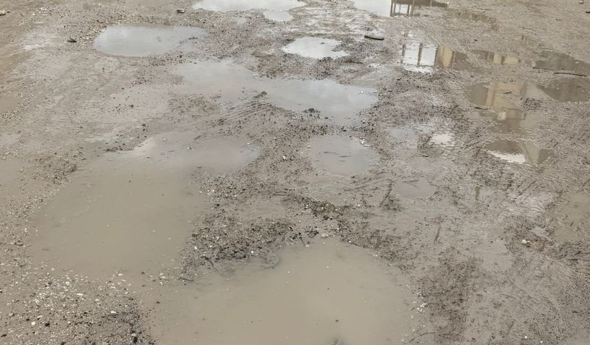 Baksan'a Bakmayan Ataç'a Çile Tepkisi