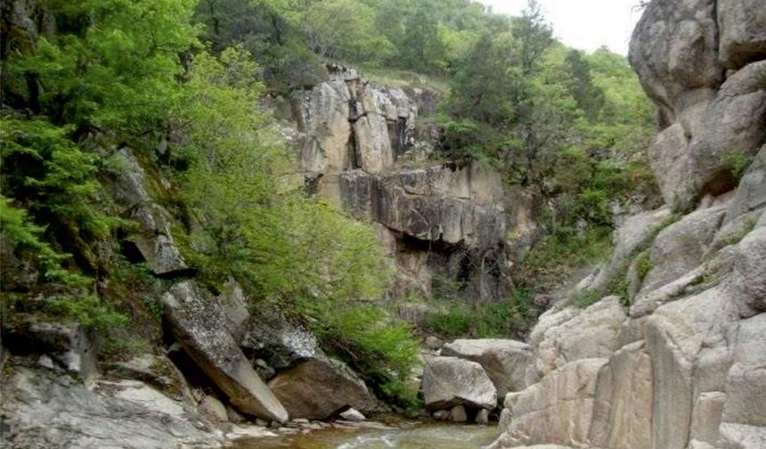 Mihalgazi de Yağışlar Sakarıılıca Deresini Aktif hale getirdi