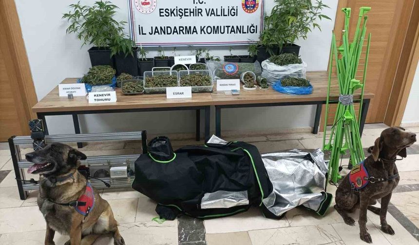 Eskişehir'de uyuşturucu operasyonu